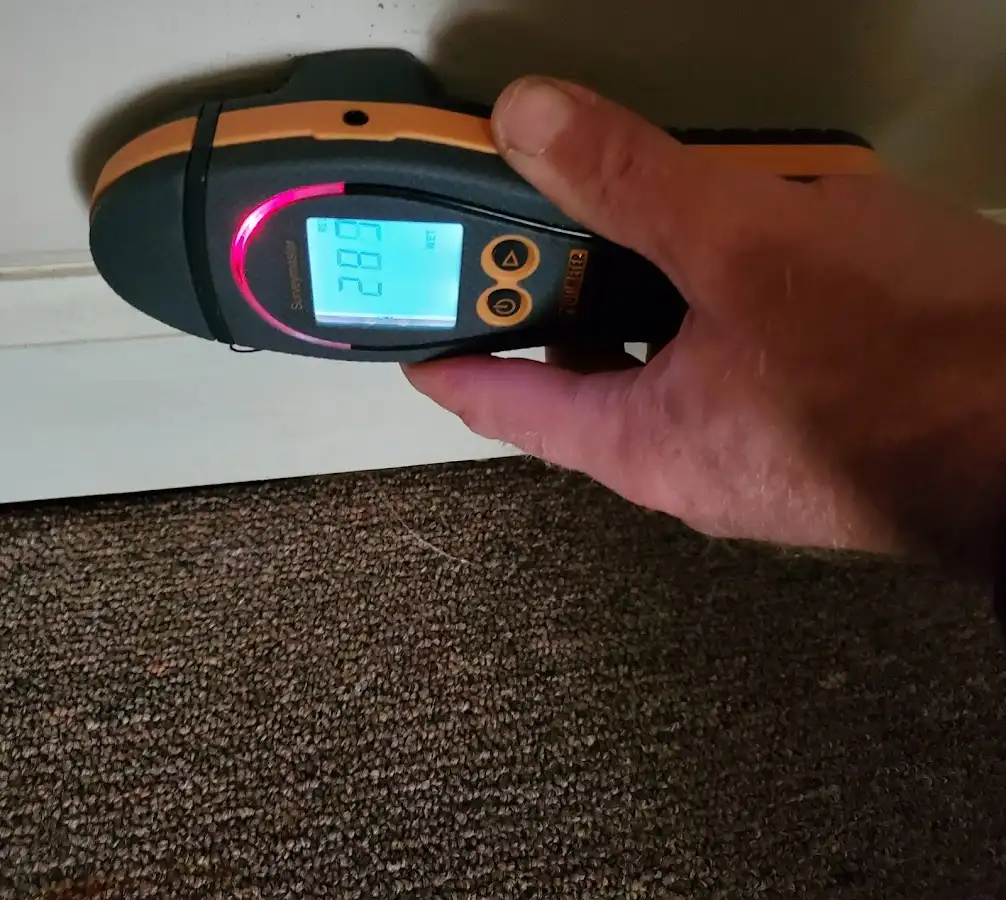 Moisture detection at baseboard during Mold Inspection & Testing in Clearfield